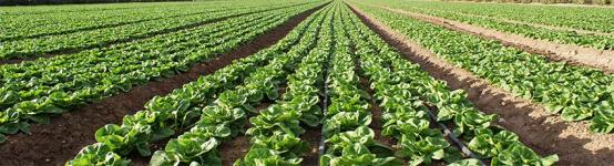 Regs agricoles
