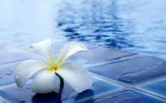 Piscines